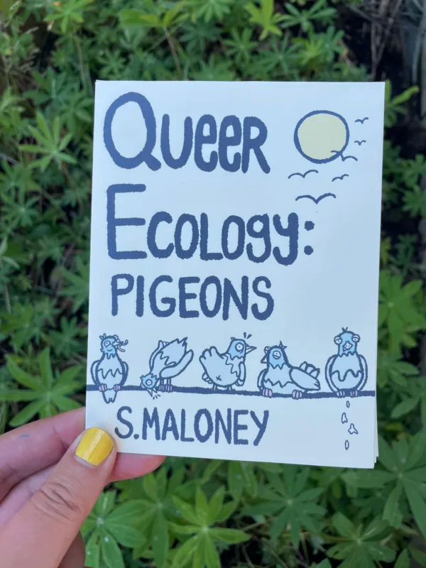 Queer Ecology: Pigeons