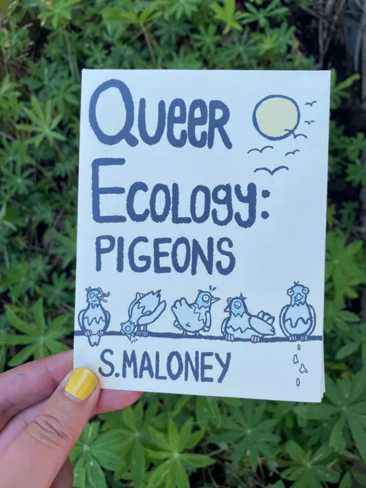 Queer Ecology: Pigeons
